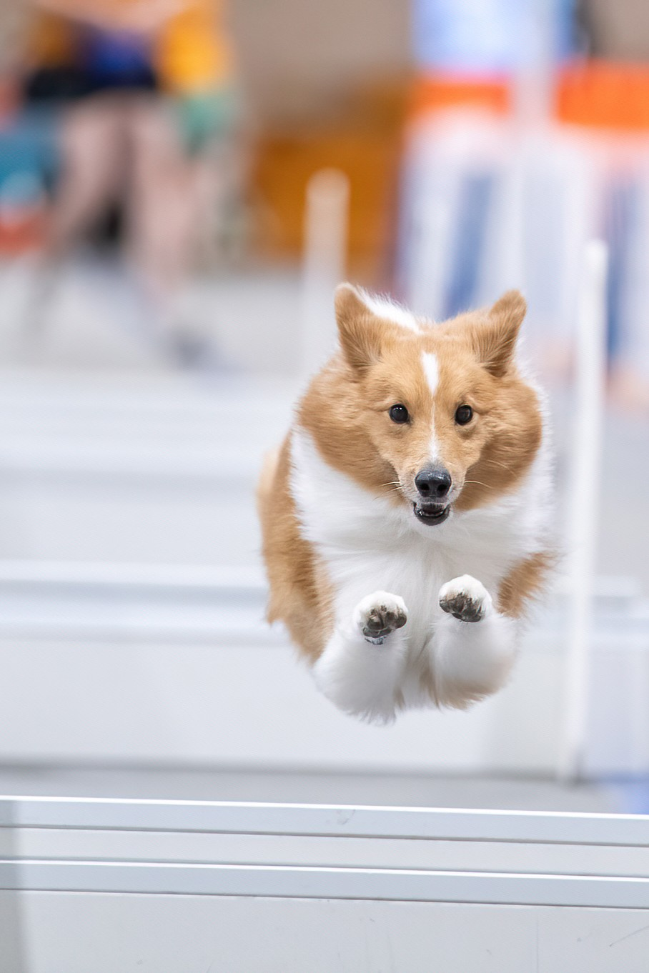 Club carousel image 3