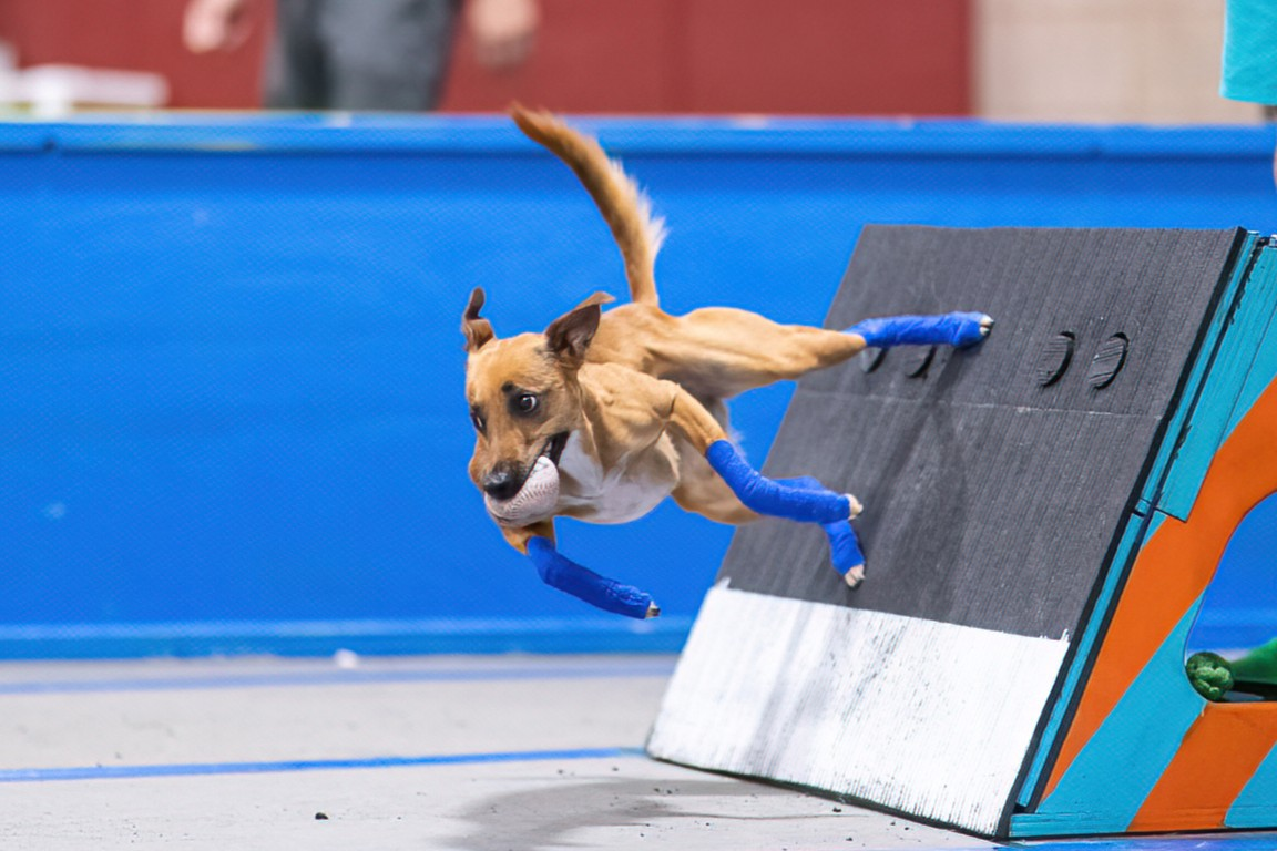 Club carousel image 4