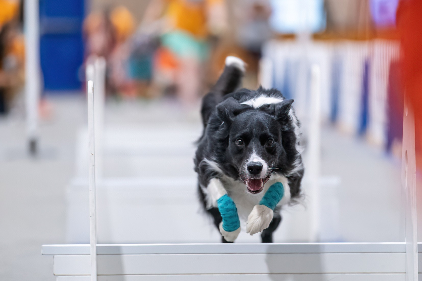 Club carousel image 5